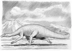 Illustration of the Beast of Karoo by  in  (2009).