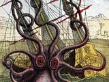 Gigantic octopus