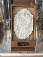 Plaster casts of Hibagon's footprint on display at Bingo-Saijo Station