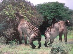 Ancylotherium Walking With Beasts