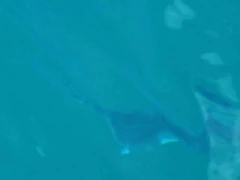 The 2014 Zuker photograph.