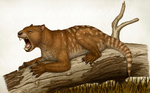 Thylacoleo.