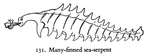 Many-finned sea serpent, ITWOSS