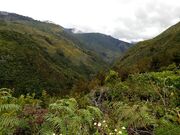 Baliem Valley