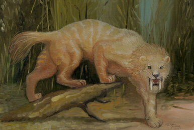 Still in Search of Prehistoric by Shuker, Karl P N