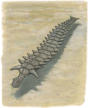 Heuvelmans' theory that the  could be an  was based on what is now known to have been a palaeontological mistake.