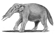 's illustration of the sukotyro as a dwarf stegodont.