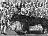 Beast of Gévaudan