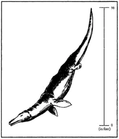 The classic sea serpent by Harry Trumbore.