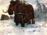 Woolly mammoth