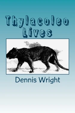 Cover of Thylacoleo Lives.
