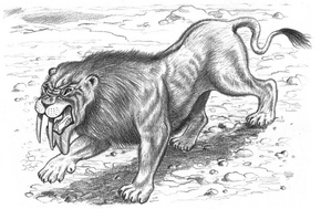 Illustration of the warrigal by  in  (2009), seemingly based on a sketch by .