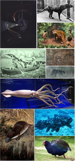 Cryptozoology | Encyclopaedia of Cryptozoology | Fandom