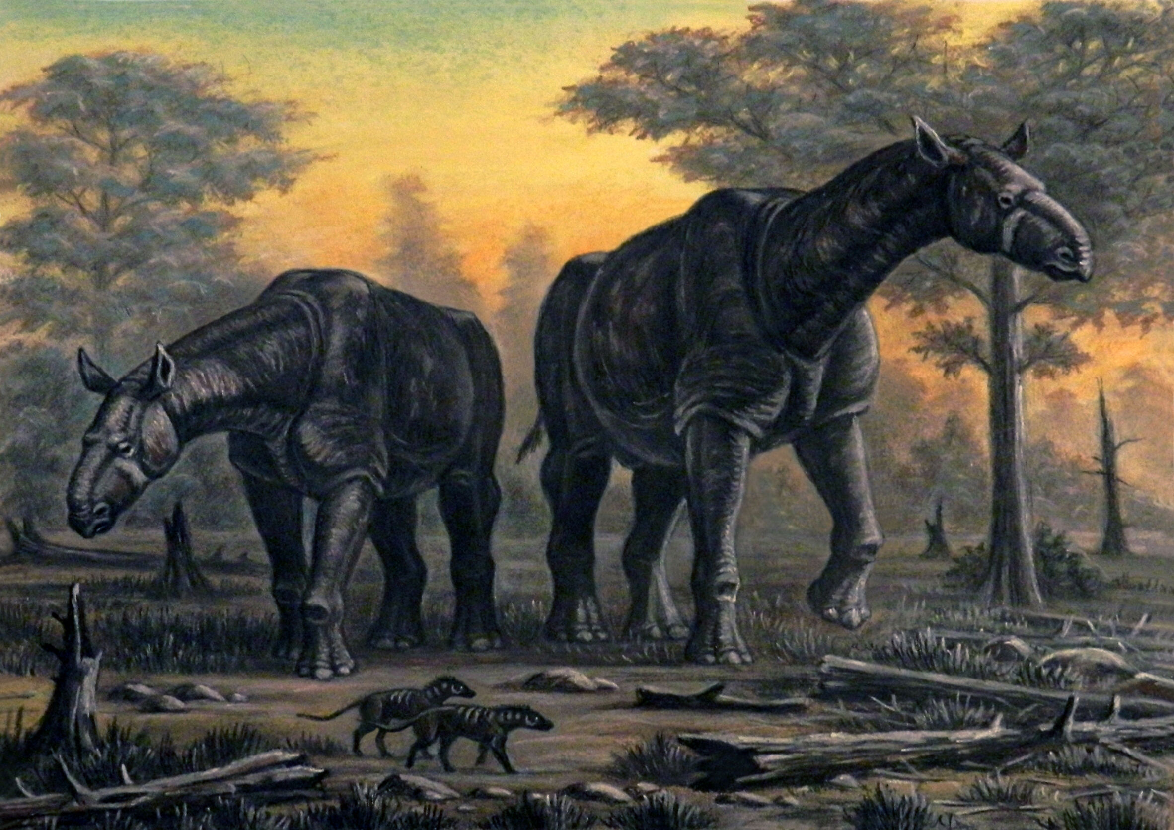 Mokele-Mbembe - Cryptozoologicon - a second response