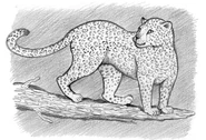 Shiashia-yawá