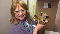 Janis with a Thylacoleo skull (Source).