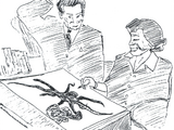 Freshwater octopuses in North America