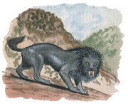 Black maned sabre-tooth Coudray