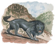 Black maned sabre-tooth Coudray