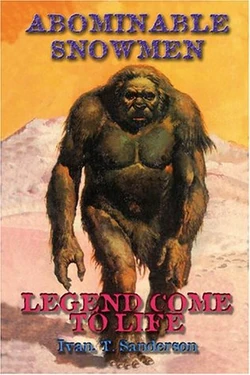Abominable Snowmen: Legend Come to Life | Encyclopaedia of