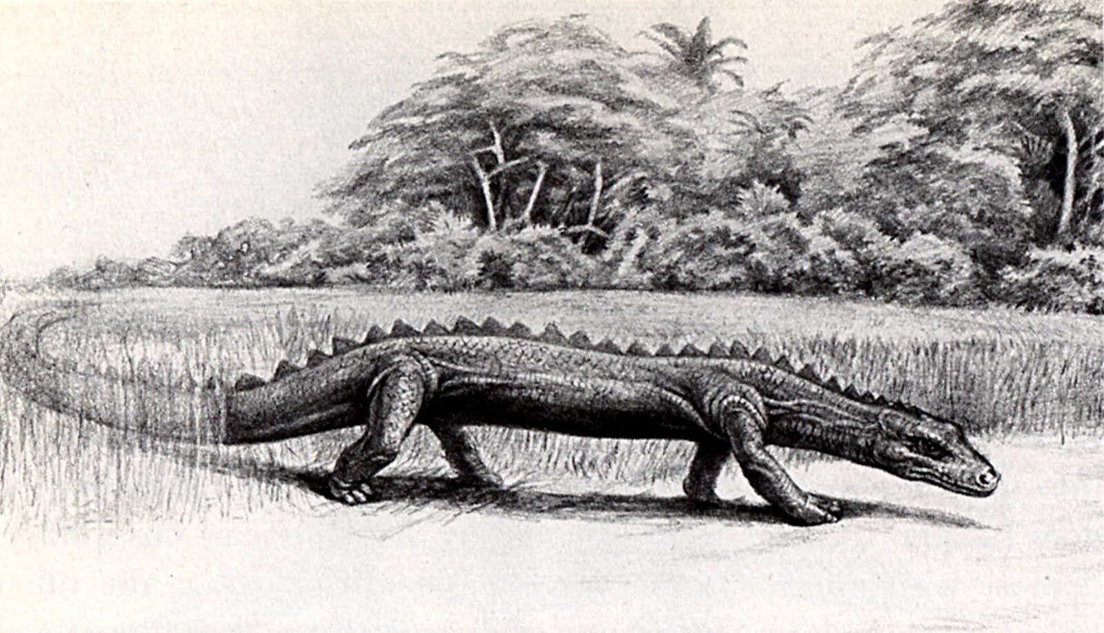 Gbahali | Encyclopaedia of Cryptozoology | Fandom