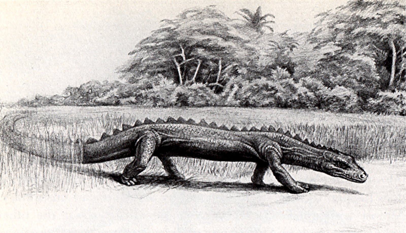 Mokele-mbembe, Encyclopaedia of Cryptozoology