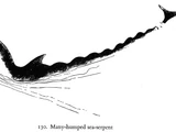 Multiple-humped sea serpent