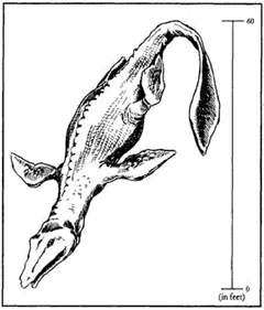 's concept of the mystery saurian.