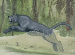 Reconstruction of the pamá-yawá by  in  (2009).