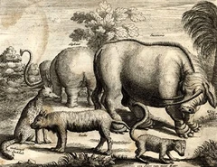 Johan Niewhoff's original 1669 illustration of the sukotyro (in the upper right), upon which all following images were based.