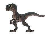 Gobi Bipedal Gecko