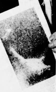 An alleged photograph of the Loch Ness monster, possibly taken in 1975