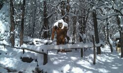 Mogollon-monster