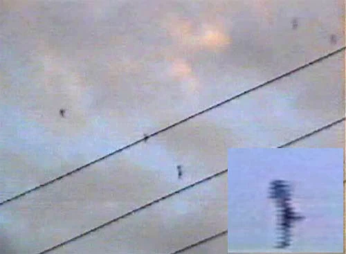 Maipu Sky divers | Cryptid Wiki | Fandom