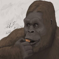 Sasquatch eating