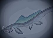 Cleary's fish
