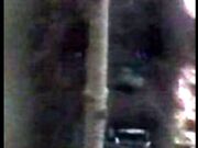 A photo of a Bigfoot taken in Kentucky from a Bigfoot research team. They believe that this proof concludes that Sasquatches in fact do exist.