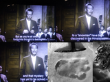 Godzilla Film Franchise & Cryptozoology