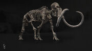 Wo0llymammot skeleton