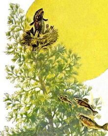 Upland trout.jpg