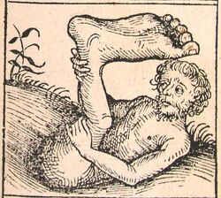 670px-Nuremberg chronicles - Strange People - Umbrella Foot (XIIr)