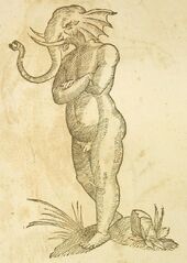 Elephant man monstrorum historia