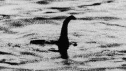 Mokele-mbembe: Congo's version of the Loch Ness Monster? - BBC News