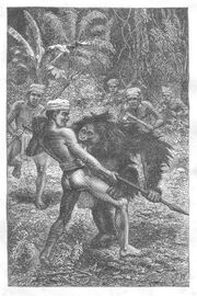Orangutan.jpg