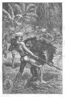 Orangutan