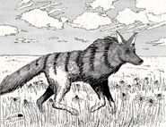 American Hyena