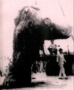 Tecolutla Monster, 1969