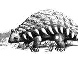 Muhuru