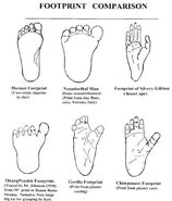 Footprint-comparison