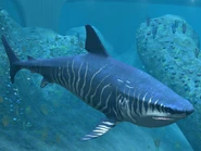 The Megalodon from Jurassic World: The Game
